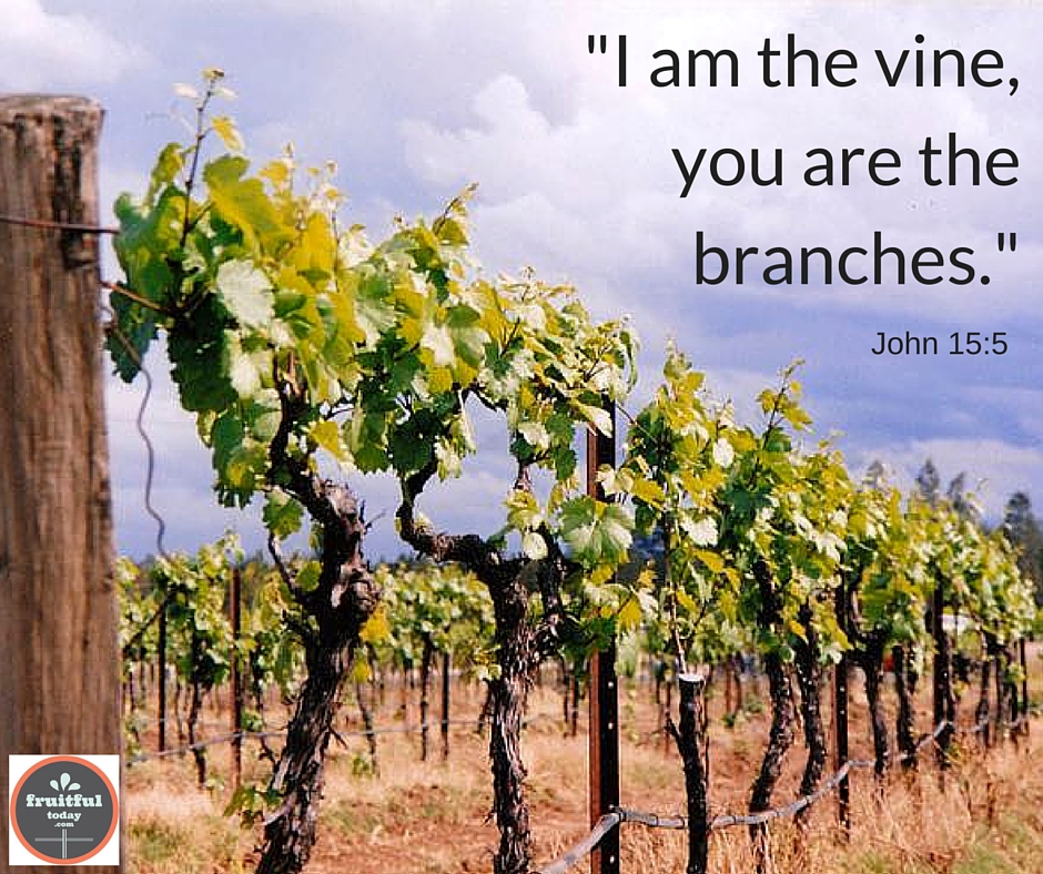 I am the vine, you are the branches._(1)