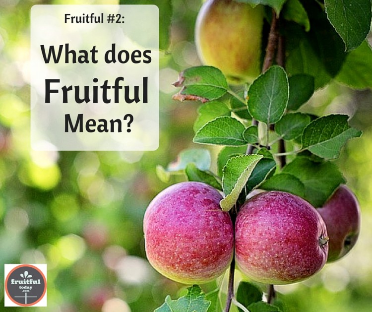 What does Fruitful Mean_