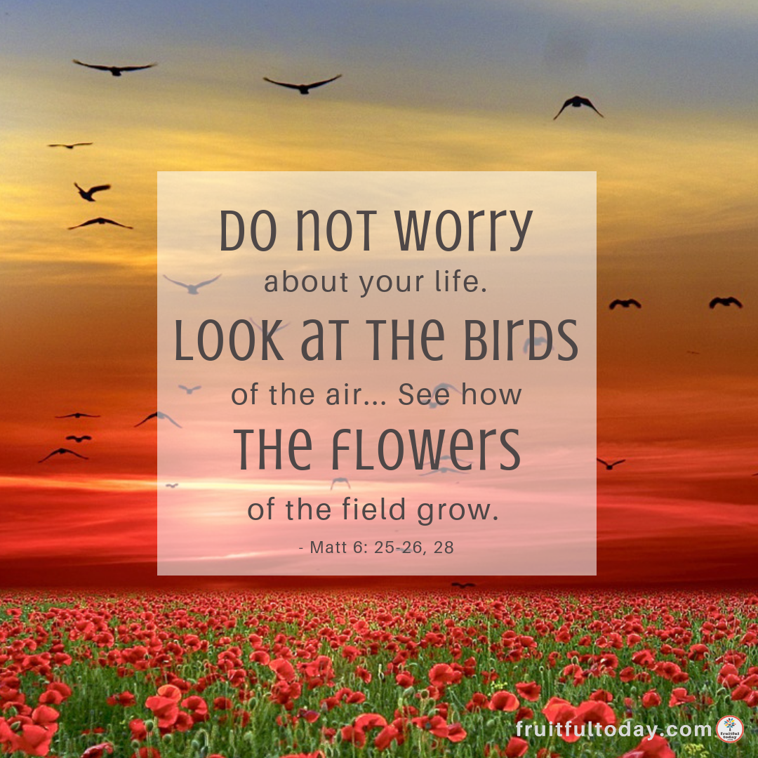 lesson-jesus-says-do-not-worry-matthew-6-25-33-ministry-to